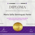 Ampliar imagen: certificate 2
