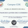 Ampliar imagen: certificate 21