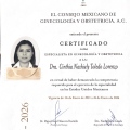 Ampliar imagen: certificate 2