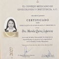 Ampliar imagen: certificate 8