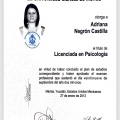 Ampliar imagen: certificate 3