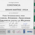 Ampliar imagen: certificate 7