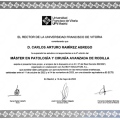 Ampliar imagen: certificate 2