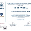 Ampliar imagen: certificate 2
