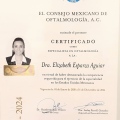 Ampliar imagen: certificate 2