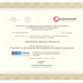 Ampliar imagen: certificate 7