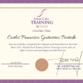 Ampliar imagen: certificate 9