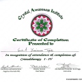 Ampliar imagen: certificate 5