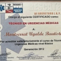Ampliar imagen: certificate 10