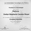 Ampliar imagen: certificate 2