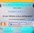 Ampliar imagen: certificate 3