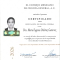 Ampliar imagen: certificate 9
