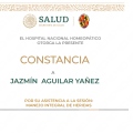 Ampliar imagen: certificate 7