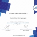 Ampliar imagen: certificate 1