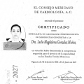 Ampliar imagen: certificate 5