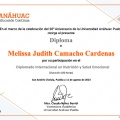 Ampliar imagen: certificate 3