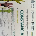 Ampliar imagen: certificate 12