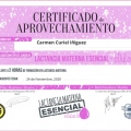 Ampliar imagen: certificate 8