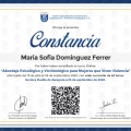Ampliar imagen: certificate 4