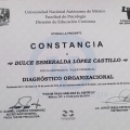 Ampliar imagen: certificate 9