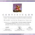 Ampliar imagen: certificate 2