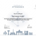 Ampliar imagen: certificate 11