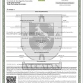 Ampliar imagen: certificate 5