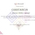 Ampliar imagen: certificate 3