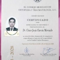 Ampliar imagen: certificate 2