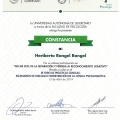 Ampliar imagen: certificate 6