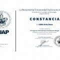 Ampliar imagen: certificate 9