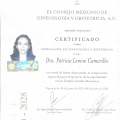 Ampliar imagen: certificate 1