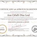 Ampliar imagen: certificate 2