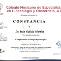 Ampliar imagen: certificate 25