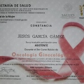 Ampliar imagen: certificate 5