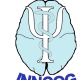 Insitituto de Neuropsicología y Neurociencias Cognitivas