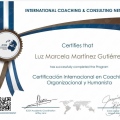 Ampliar imagen: certificate 2