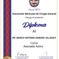 Ampliar imagen: certificate 4