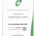 Ampliar imagen: certificate 7