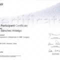 Ampliar imagen: certificate 10