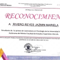Ampliar imagen: certificate 3