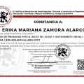 Ampliar imagen: certificate 3
