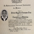Ampliar imagen: certificate 7