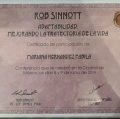 Ampliar imagen: certificate 5