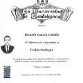 Ampliar imagen: certificate 5