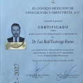 Ampliar imagen: certificate 2