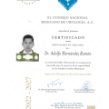 Ampliar imagen: certificate 4