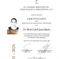 Ampliar imagen: certificate 9