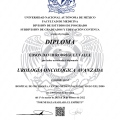 Ampliar imagen: certificate 6