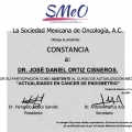 Ampliar imagen: certificate 7